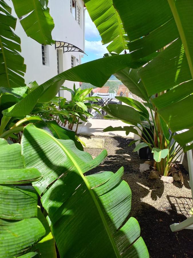 Le Damour Appartement 1 Ou 2 Chambres Les Anses-d'Arlets Eksteriør billede